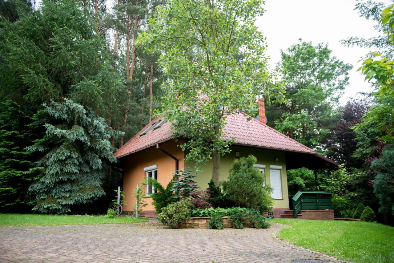 Dom Nad Stawem Villa Rakszawa Luaran gambar